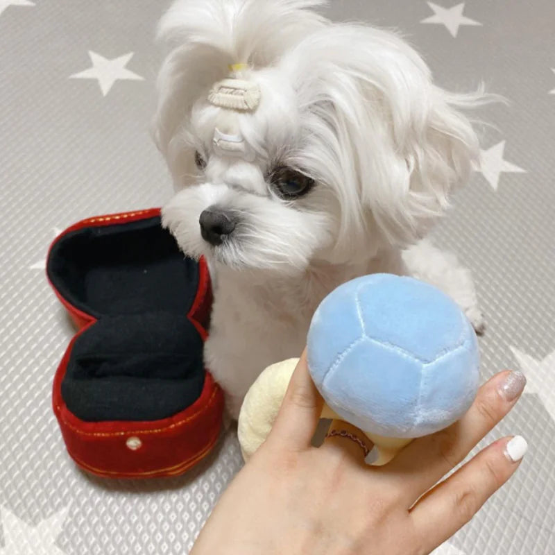 Diamond Ring Dog Squeaky Toy