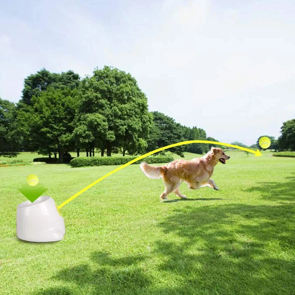 Deluxe Canine Ball Propeller: Ultimate Play Enhancer