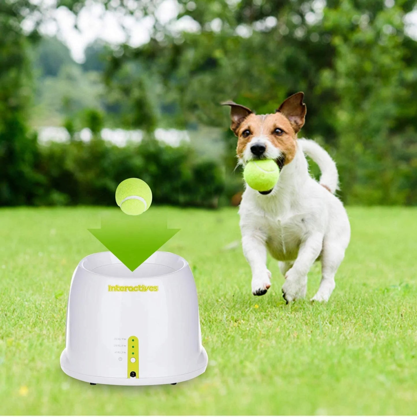 Deluxe Canine Ball Propeller: Ultimate Play Enhancer