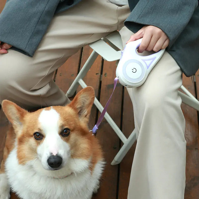 GlowTrack Retractable Dog Leash with LED Lights