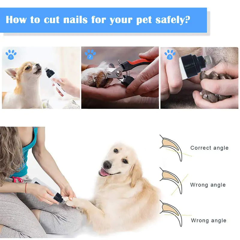 Precision Electric Canine Nail Grooming Device